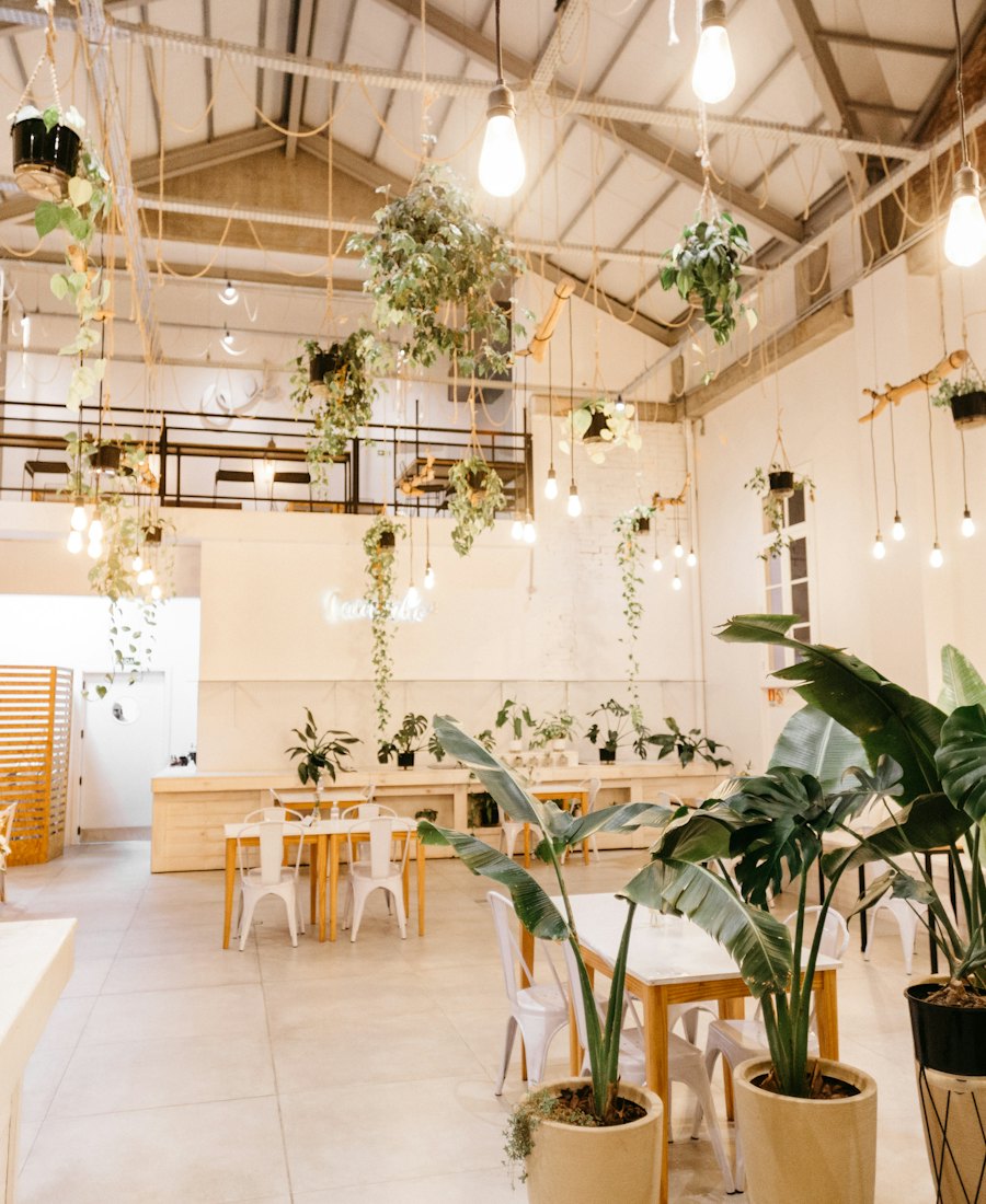 植物に囲まれた明るい店内の席
